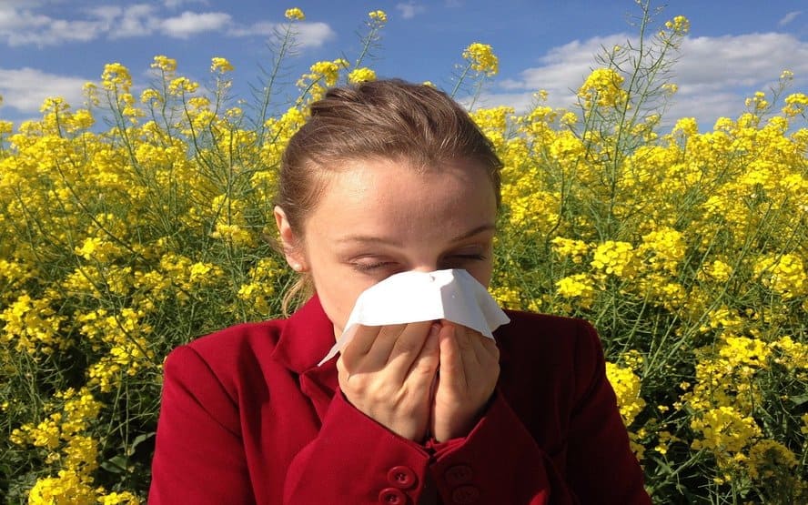 Manual da alergia tudo o que precisa saber