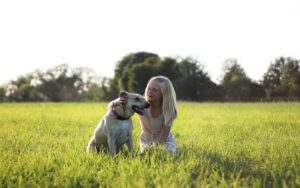 Como terapia com cães melhora a saúde física e mental