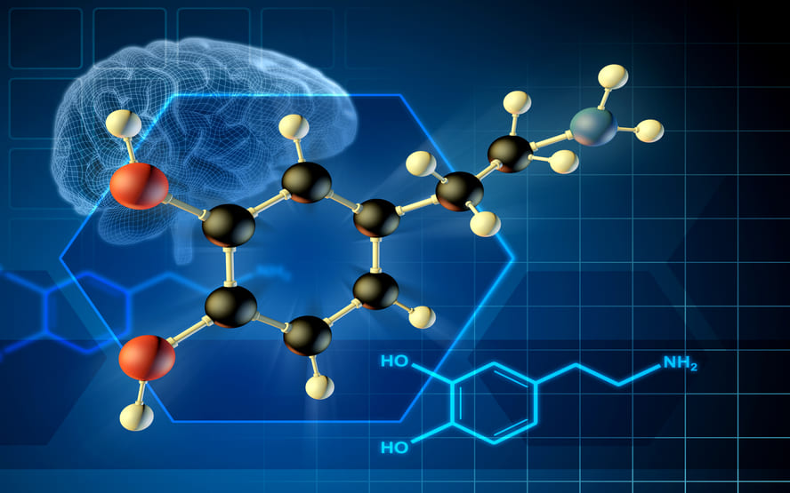 Dopamina e serotonina porque e importante para o corpo