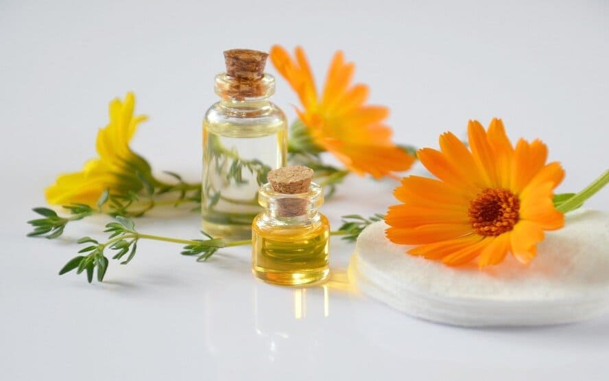 Principais beneficios da calendula