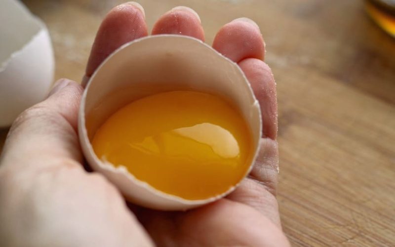 Tudo que você precisa saber sobre gema de ovo