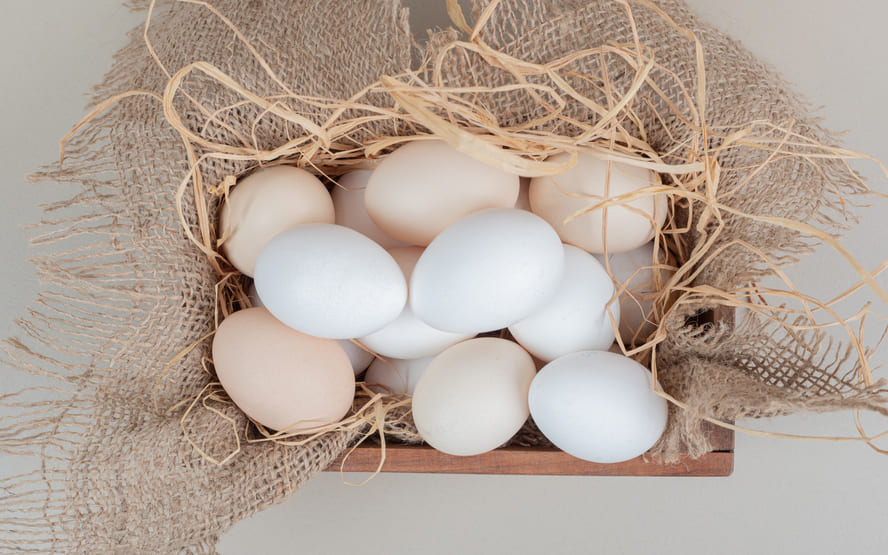 Quais sao os ovos mais saudaveis
