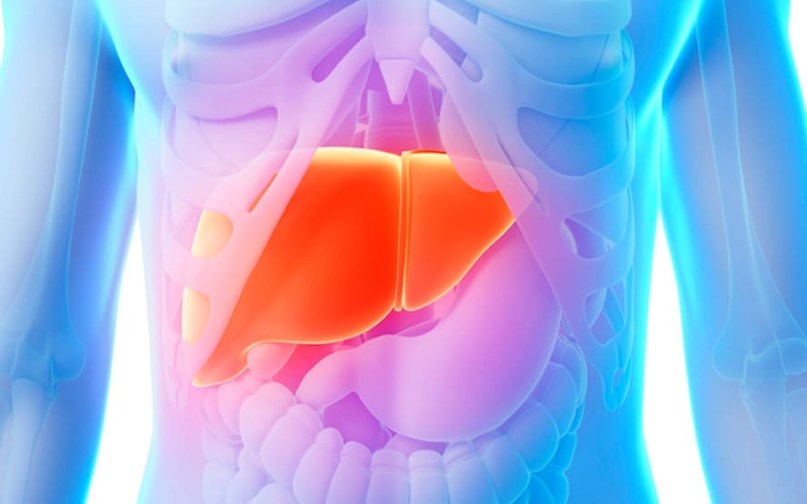 A doenca hepatica gordurosa e comum