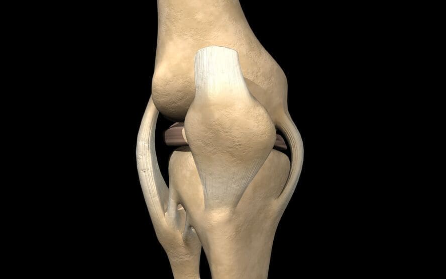 ligamento colateral medial