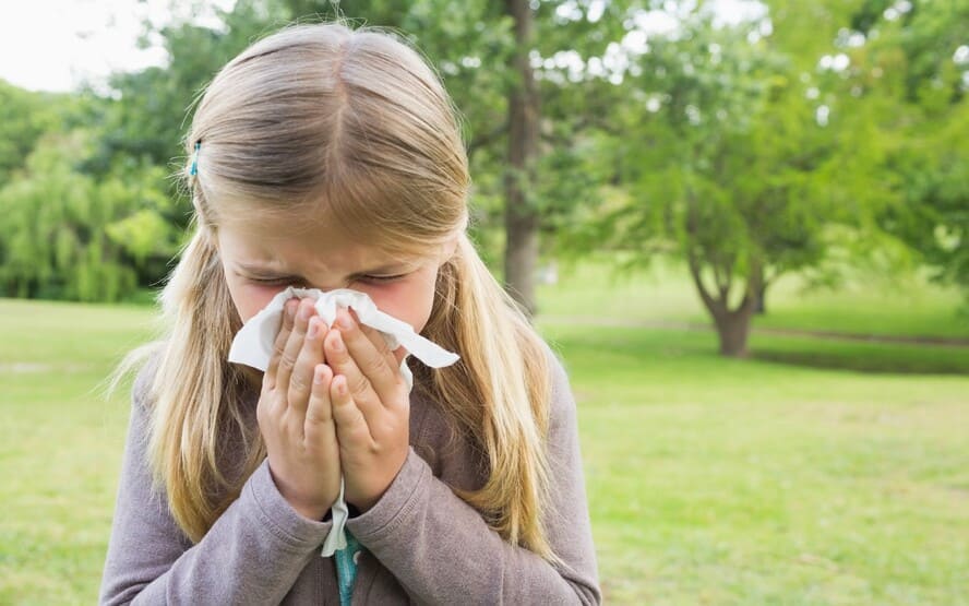 Alergias de verao