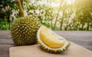 O que e fruta Durian
