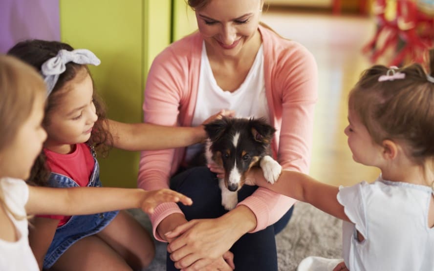 Terapias com animais para o autismo funciona