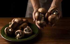 O que e a dieta de cogumelos