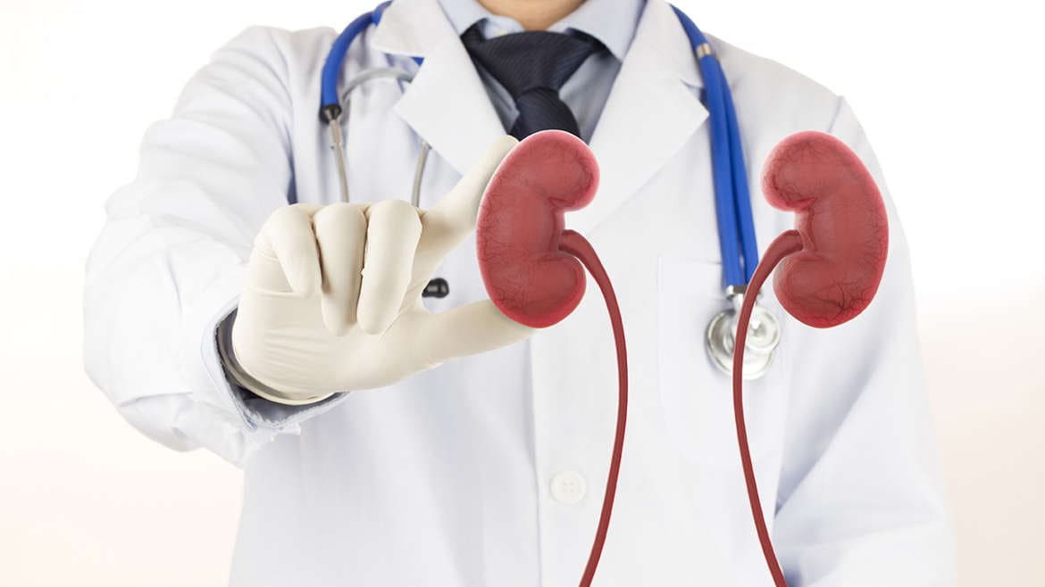 Quais são os testes de função renal