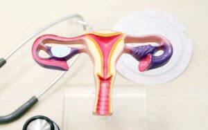 O que e o colo do utero