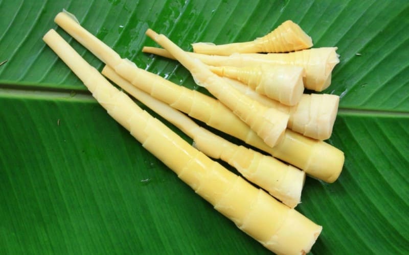 Beneficios nutricionais dos brotos de bambu