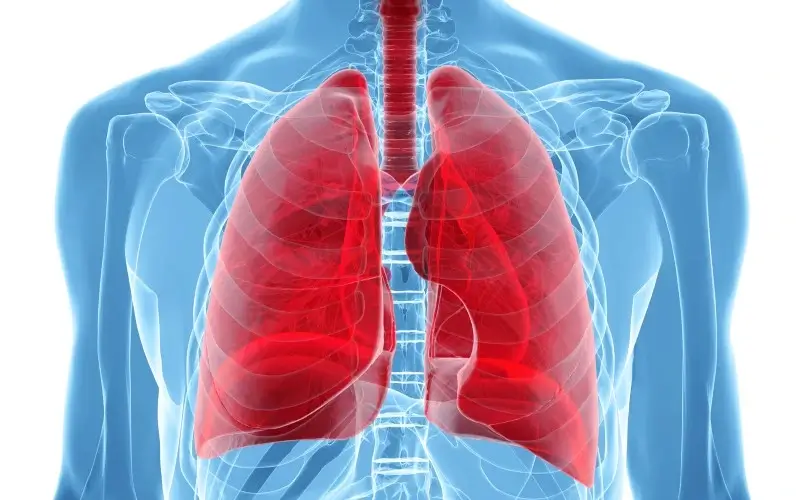 Você sabe quais são as principais causas de problemas pulmonares