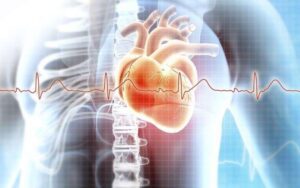 Jejum Intermitente aumenta risco de doenças cardíacas