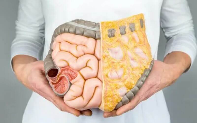 O Jejum Intermitente causa problemas digestivos
