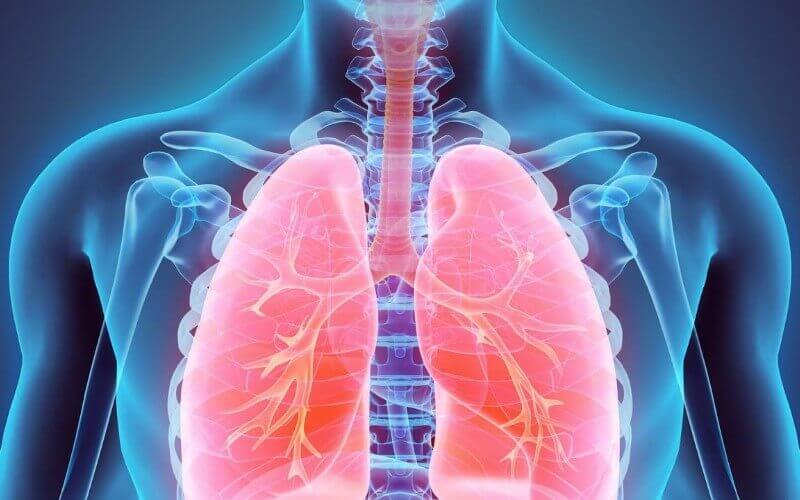 Sistema respiratório e transtorno alimentar