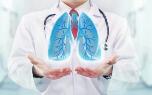 O que é a função dos pulmões no corpo humano