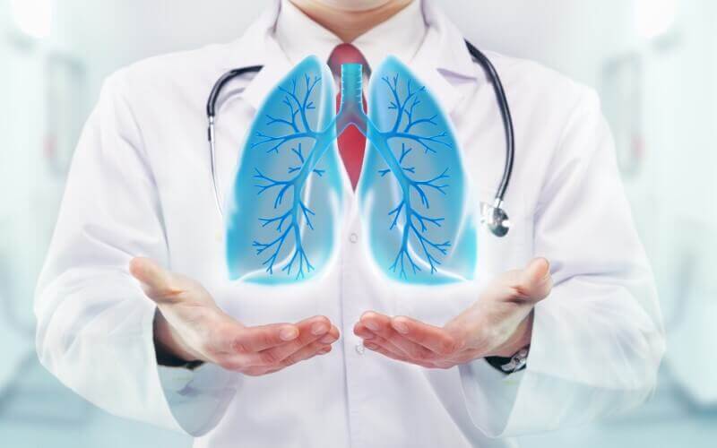 O que é a função dos pulmões no corpo humano