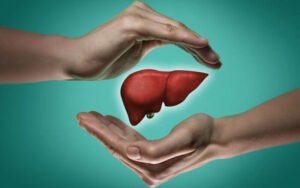 Quais são os fatores de risco para desenvolver problemas no fígado