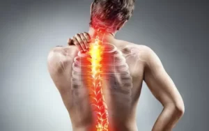 Exercícios para acabar com a dor nas costas