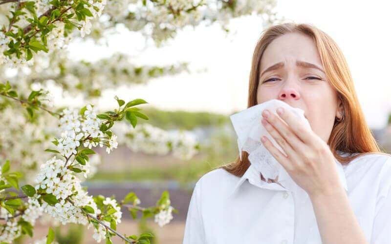 Fitoterapia para alergias