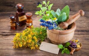 Plantas medicinais para tratar problemas respiratórios