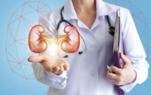 Doctor shows healthy kidneys