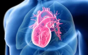 Como posso reduzir meu risco de doenças cardíacas