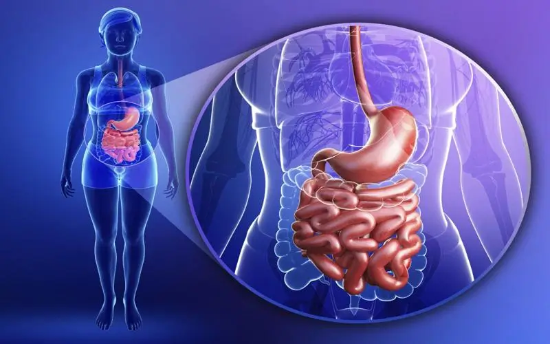 Quais são os tipos de problemas digestivos