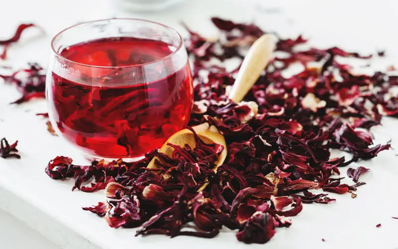 Quais são os benefícios do chá de hibisco para os rins