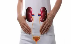 Urina com sangue ou espuma é sinal de problema renal