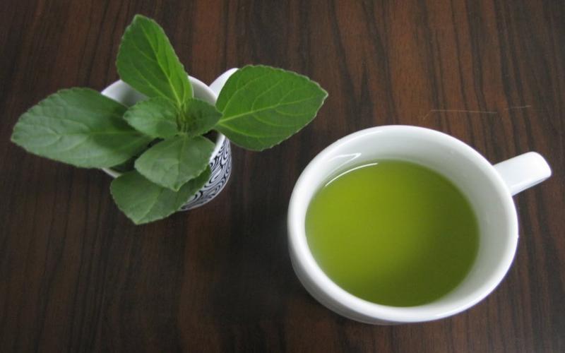 Como o chá de hortelã pode ajudar no tratamento da fibromialgia
