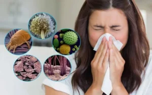 Quais receitas caseiras ajudam em alergias respiratórias