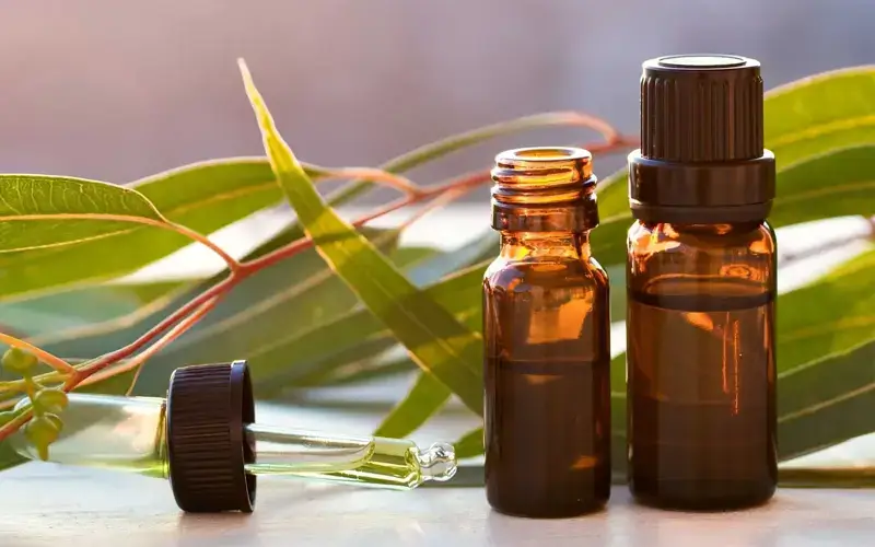 Como fazer um óleo de massagem caseiro para o estresse