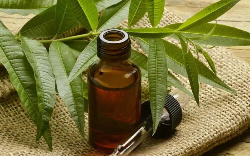 Como usar o óleo de neem no tratamento de DSTs