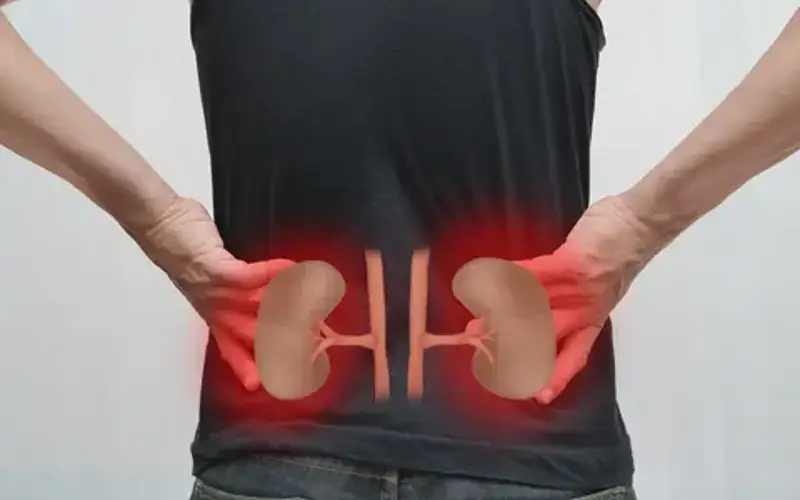 O impacto do excesso de sal na sua saúde renal